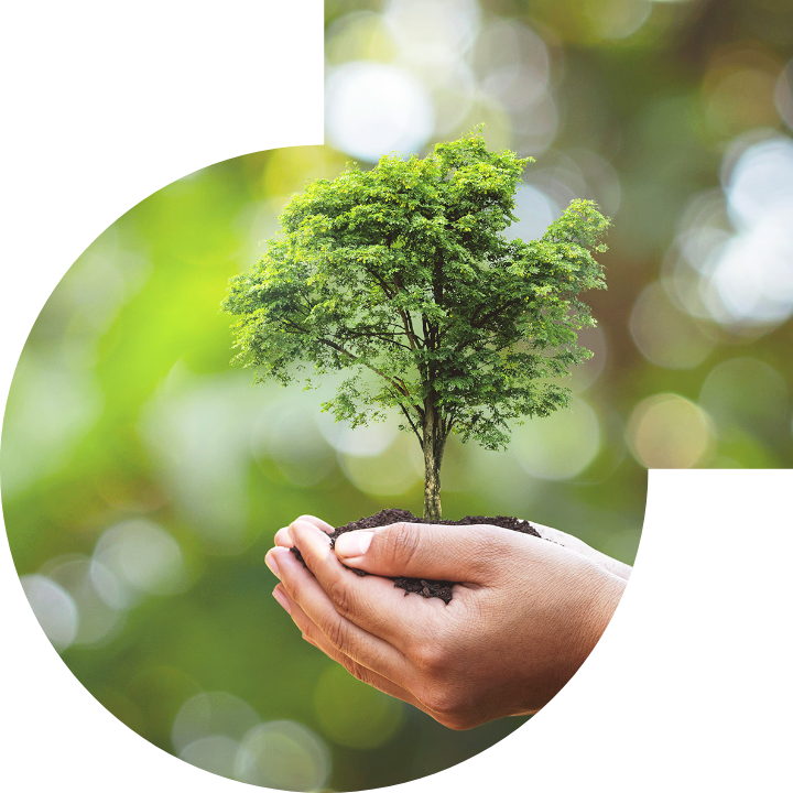 關懷人類、文化、環境與社會